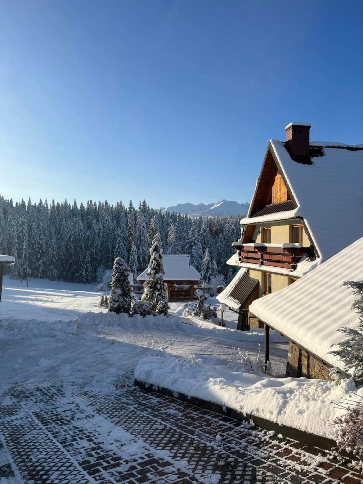 Jedla Miejsce Goscinne Bukowina Tatrzańska Extérieur photo